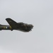 Royal International Air Tattoo (RIAT) 2017