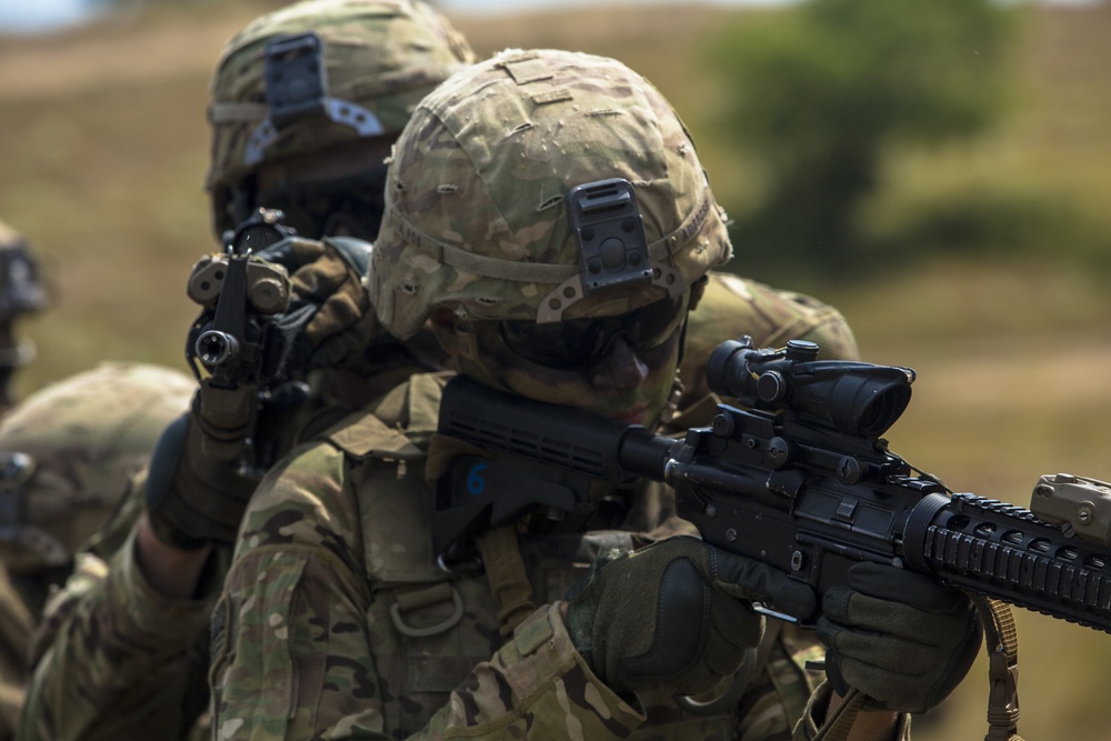 4th Infantry Division and Serbian Army Live Fire