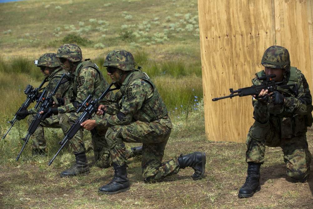 4th Infantry Division and Serbian Army Live Fire