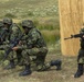 4th Infantry Division and Serbian Army Live Fire