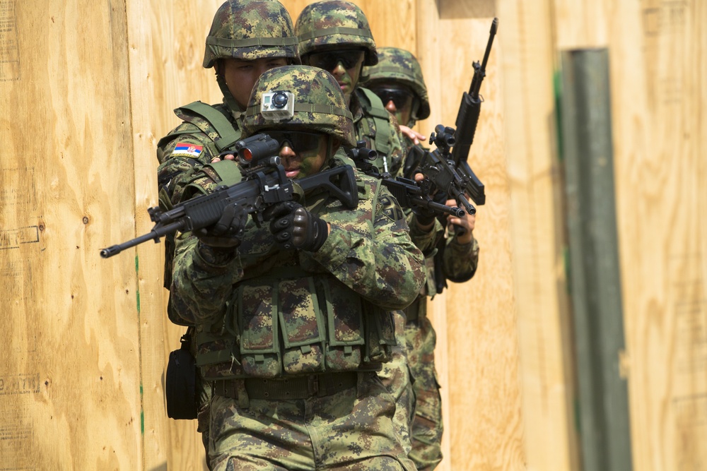 4th Infantry Division and Serbian Army Live Fire