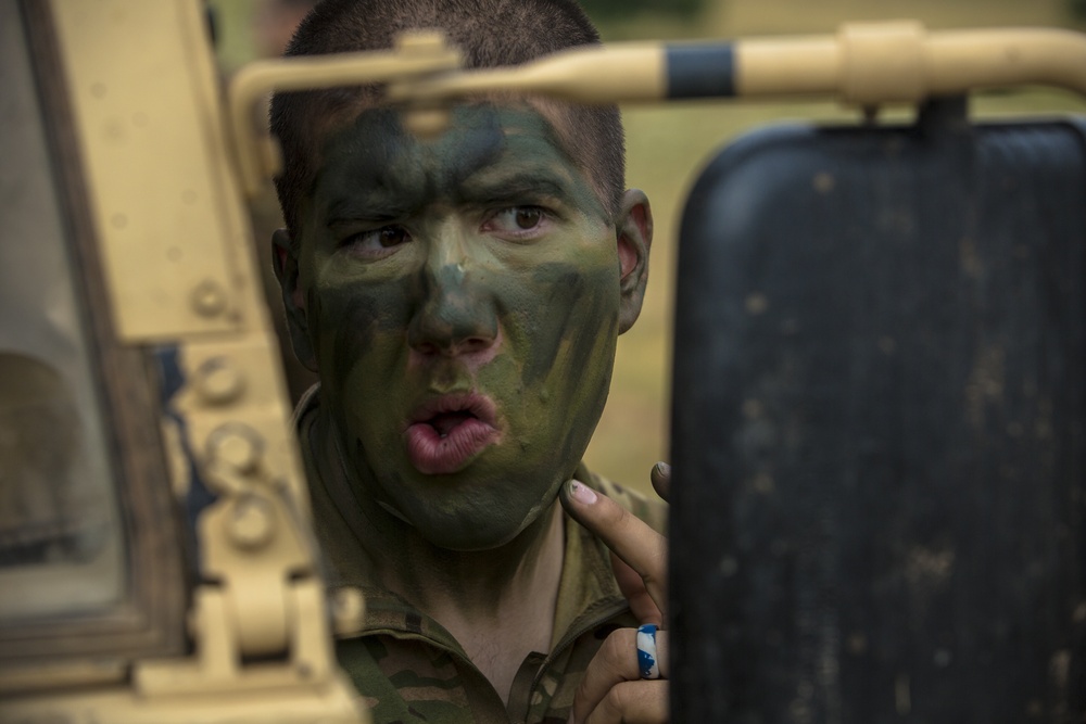 4th Infantry Division and Serbian Army Live Fire