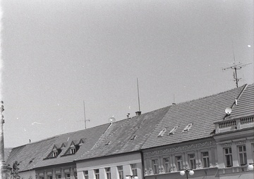 People/Miscellaneous continues