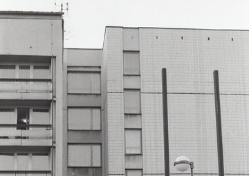 People/Miscellaneous continues