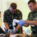 Partnerships forged during mass casualty exercise at Saber Guardian 17
