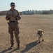 ITX 5-17 MAGTF 8 Military Working Dog Demonstration