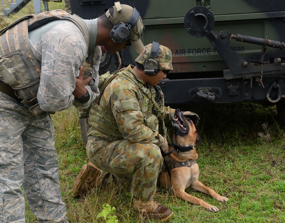 Cope North 2017 Live Fire Exercise