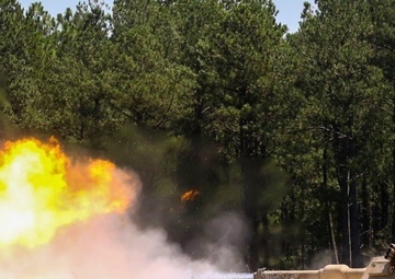 Iron Wolf 17: 2nd Tanks fire away