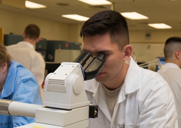 Lab techs identify cultures' to diagnose health conditions