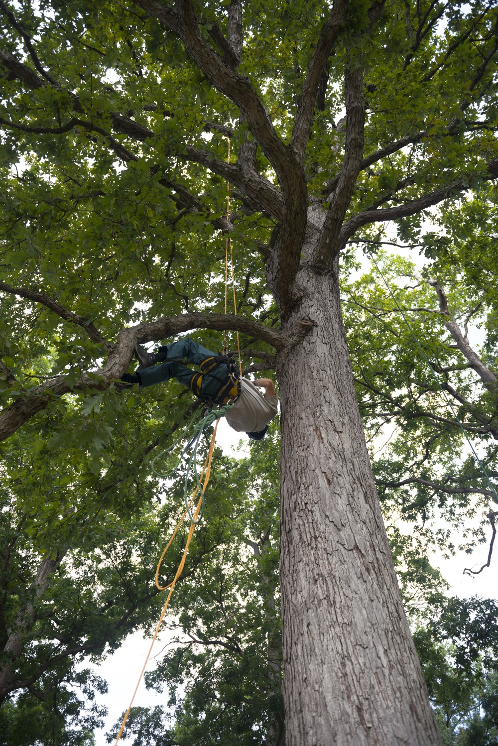 National Association of Landscape Professionals’ 21th annual Renewal and Remembrance at Arlington National Cemetery