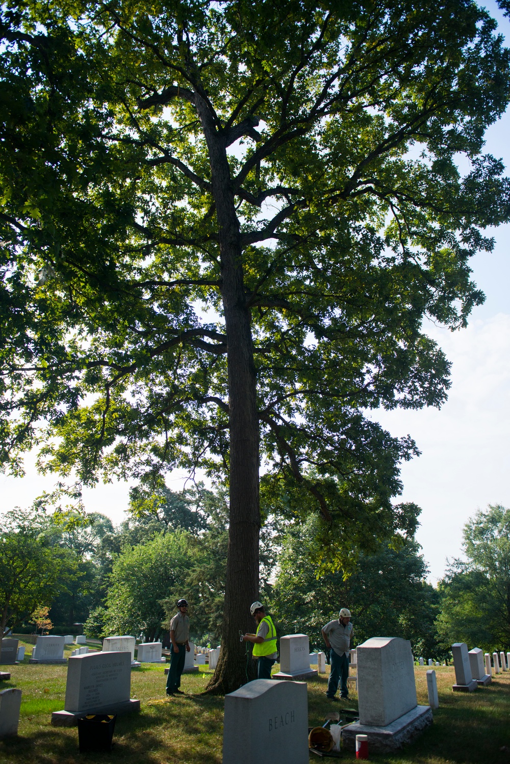 National Association of Landscape Professionals’ 21th annual Renewal and Remembrance at Arlington National Cemetery
