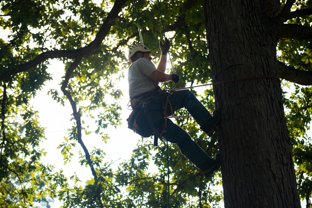 National Association of Landscape Professionals’ 21th annual Renewal and Remembrance at Arlington National Cemetery