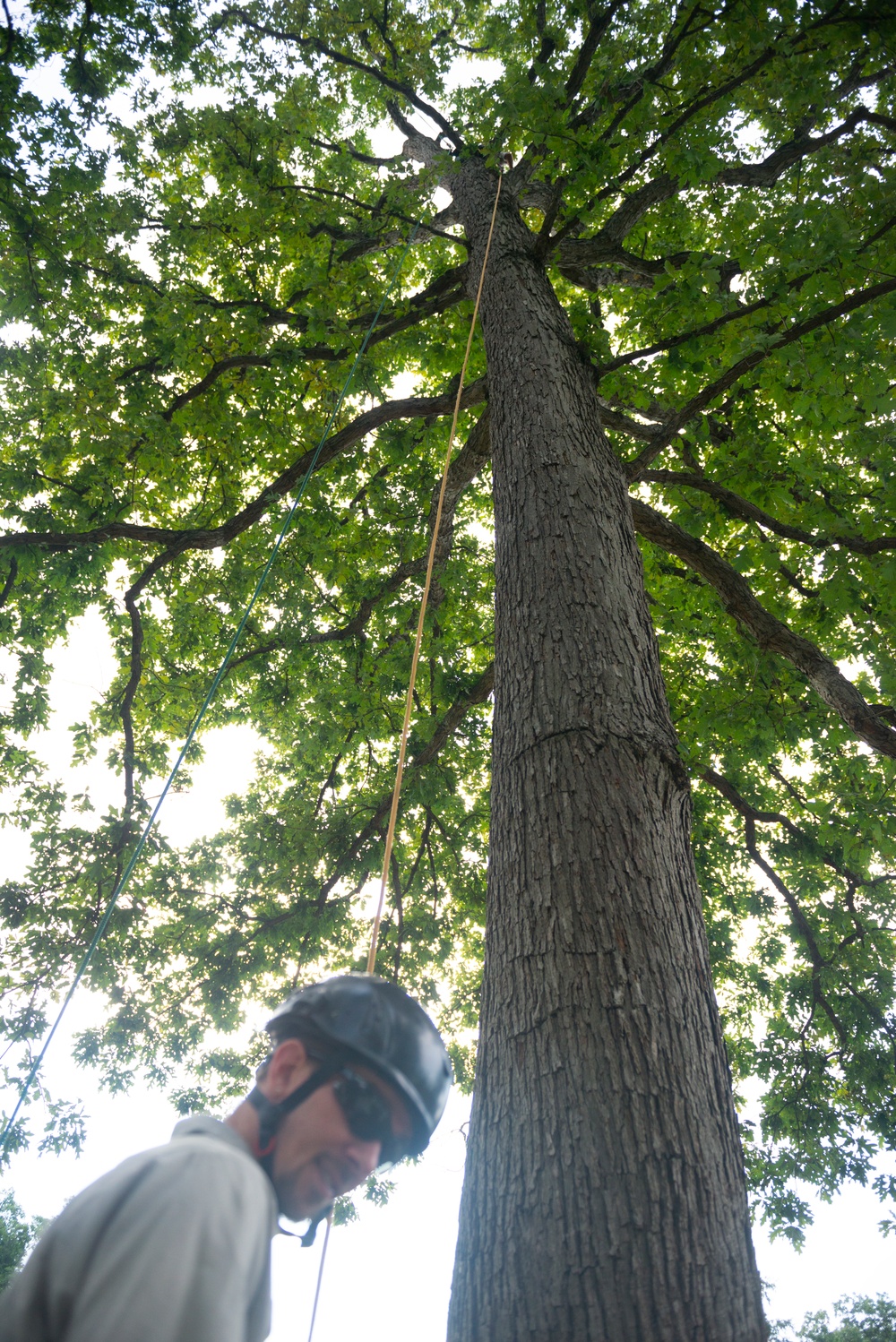 National Association of Landscape Professionals’ 21th annual Renewal and Remembrance at Arlington National Cemetery