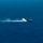 USS Bonhomme Richard Talisman Saber 17 Aerial