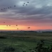 Saber Guardian 2017 - Bezmer Air Base, Bulgaria