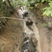OCS ENDURANCE COURSE