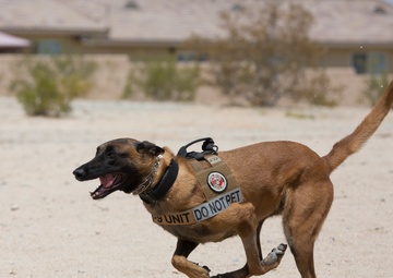 Marines connect with community for summer reading program