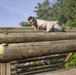 OCS TARZAN/C COURSE