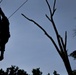 OCS TARZAN/C COURSE