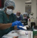The 88th Medical Operations Squadron perform an Endobronchial Ultrasound Sampling Fine Needle Aspirate procedure inside the operating room at Wright-Patt