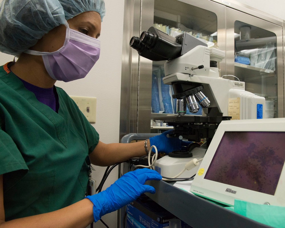 The 88th Medical Operations Squadron perform an Endobronchial Ultrasound Sampling Fine Needle Aspirate procedure inside the operating room at Wright-Patt