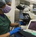 The 88th Medical Operations Squadron perform an Endobronchial Ultrasound Sampling Fine Needle Aspirate procedure inside the operating room at Wright-Patt