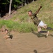 Marine Corps Marathon Run Amuck