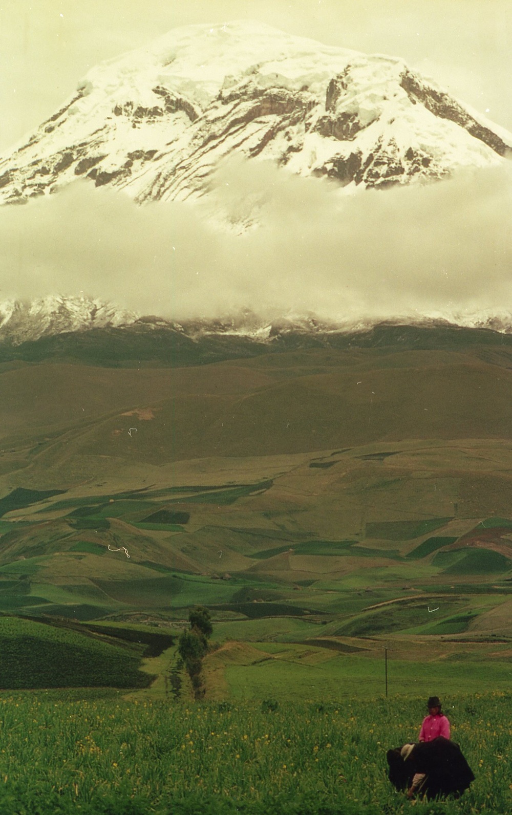 ANE, AFR &amp; LAC Region