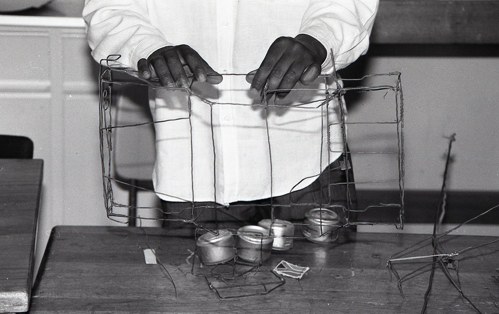 ANE, AFR &amp; LAC Region