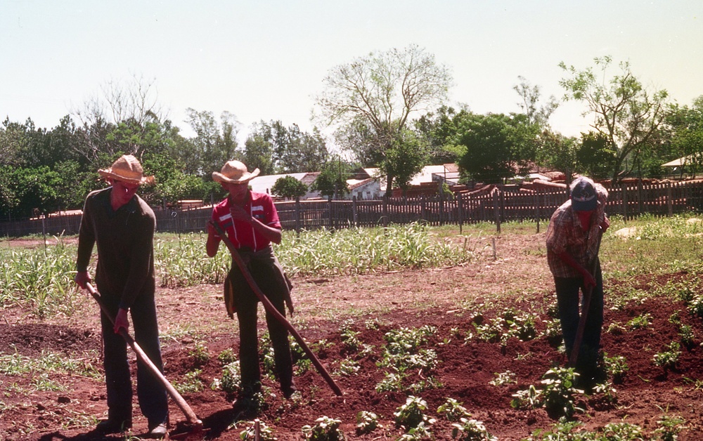 ANE, AFR &amp; LAC Region