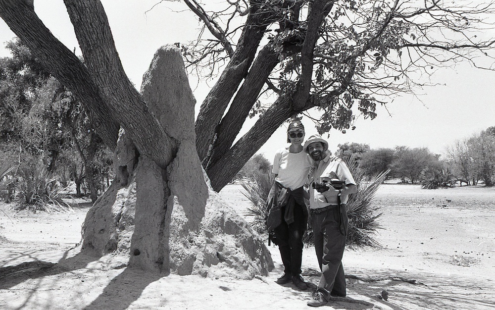 ANE, AFR &amp; LAC Region