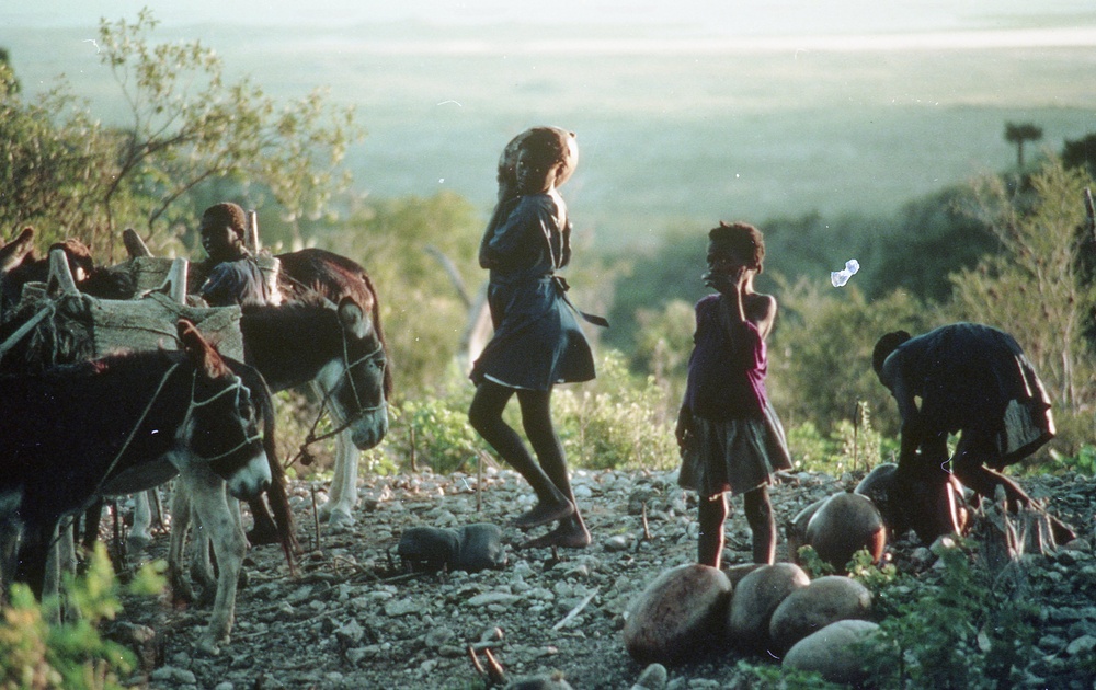 ANE, AFR &amp; LAC Region