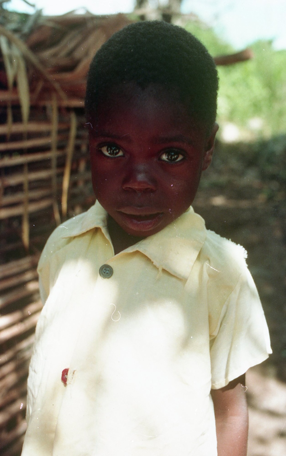 ANE, AFR &amp; LAC Region