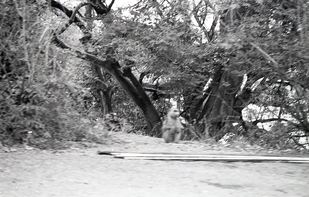 ANE, AFR &amp; LAC Region