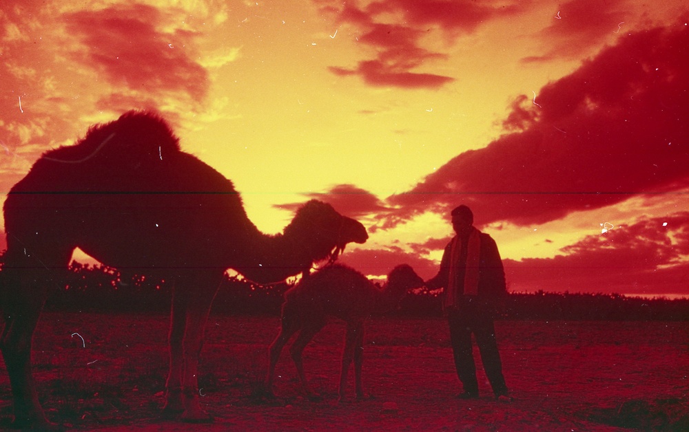 ANE, AFR &amp; LAC Region