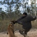 U.S. Marine and Australian Army work hand in paw