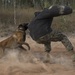 U.S. Marine and Australian Army work hand in paw