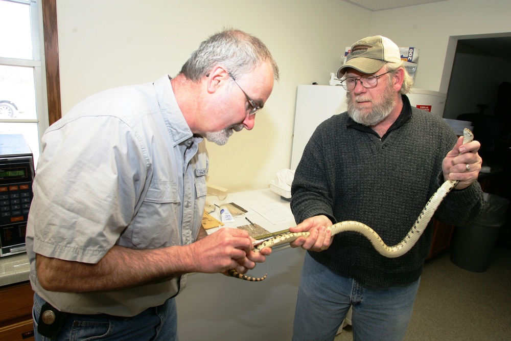 2015 Bull Snake Survey at Fort McCoy