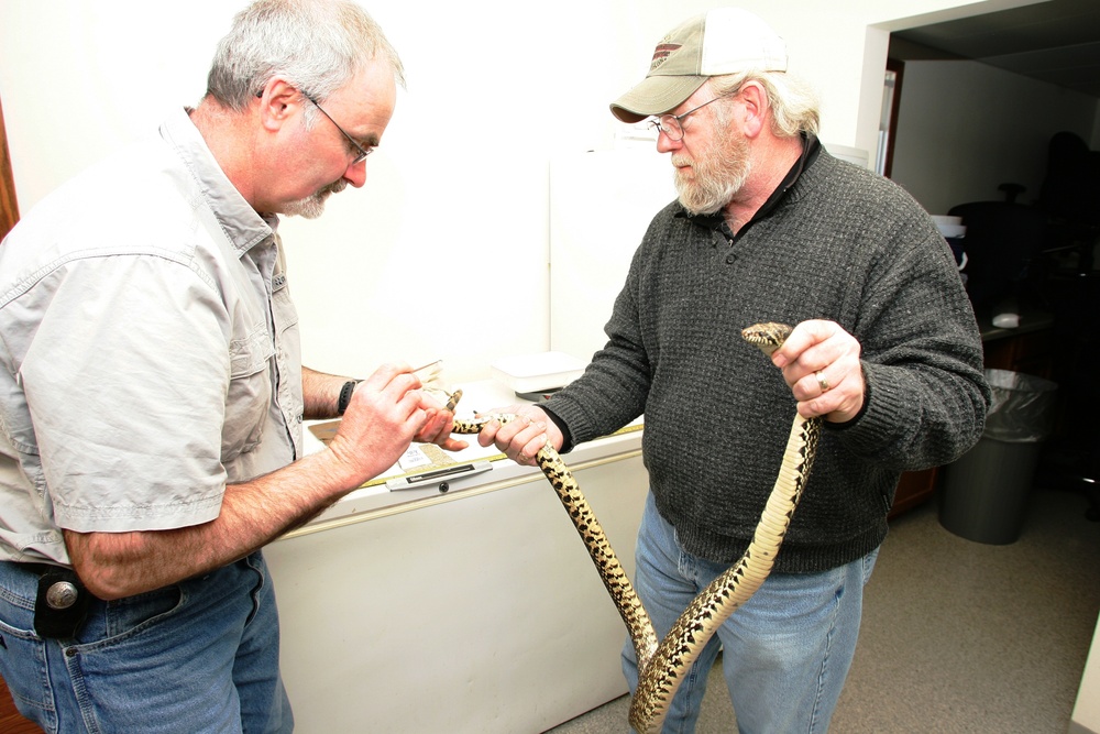 2015 Bull Snake Survey at Fort McCoy