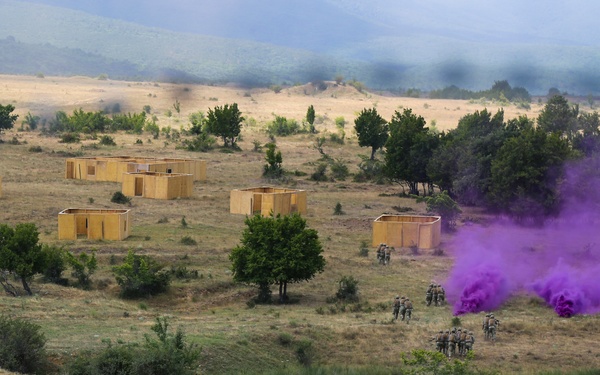 Multinational CALFEX during Saber Guardian 17