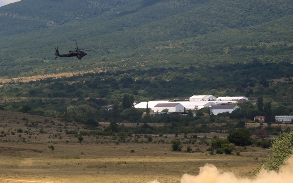 Multinational CALFEX during Saber Guardian 17