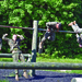 Spartan Games
