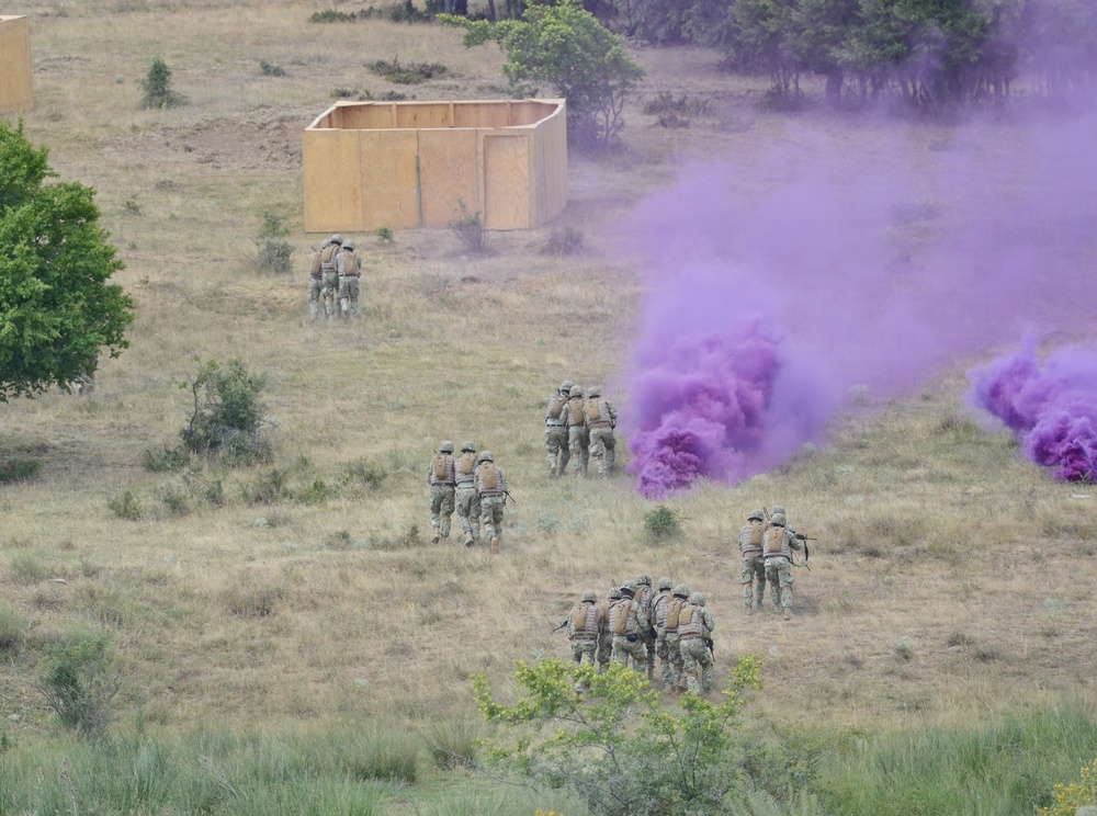 Multinational CALFX ends Saber Guardian 17 with a bang