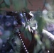 173rd Airborne Brigade and Allies Establish Security