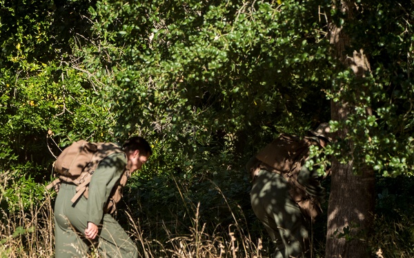 SERE Forrest Survival