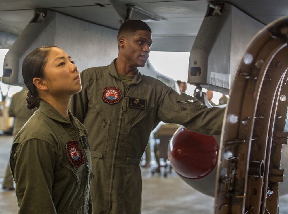 ARFF Marines exterminate Hornet hazards through training