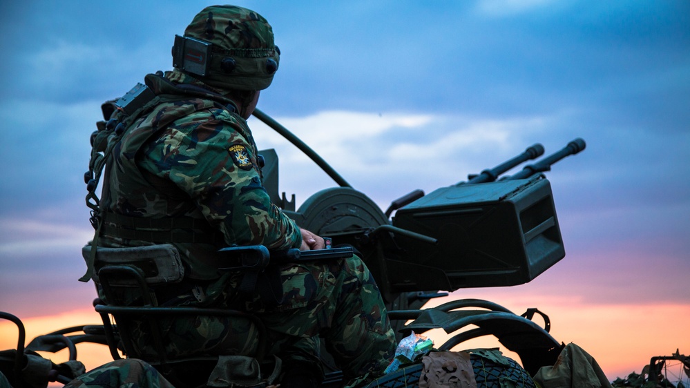 Objective Lion Defense