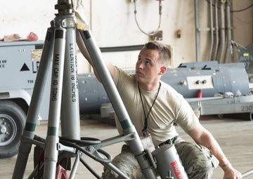 Theatre Security Package (TSP)