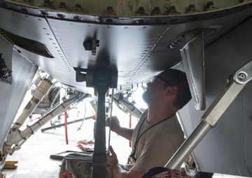 Theatre Security Package (TSP)