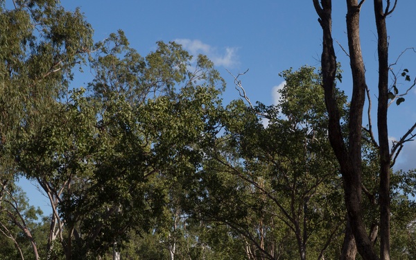 BLT 3/5 conducts aerial assault during Exercise Talisman Saber 2017